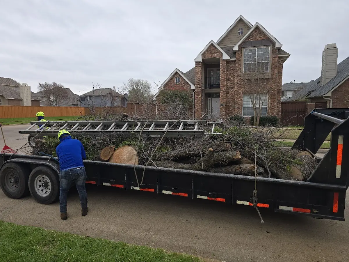 Expert Tree Removal with proper safety equipment in Niverville